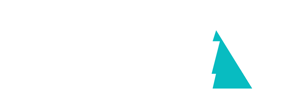 קבוצת ברזאני